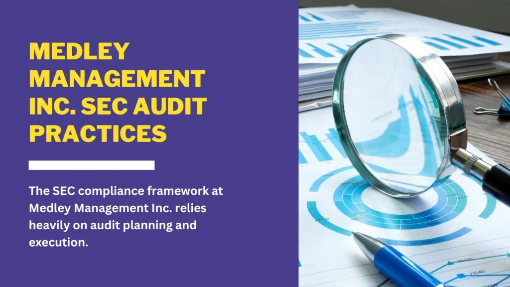 Medley Management Inc. SEC Audit Practices