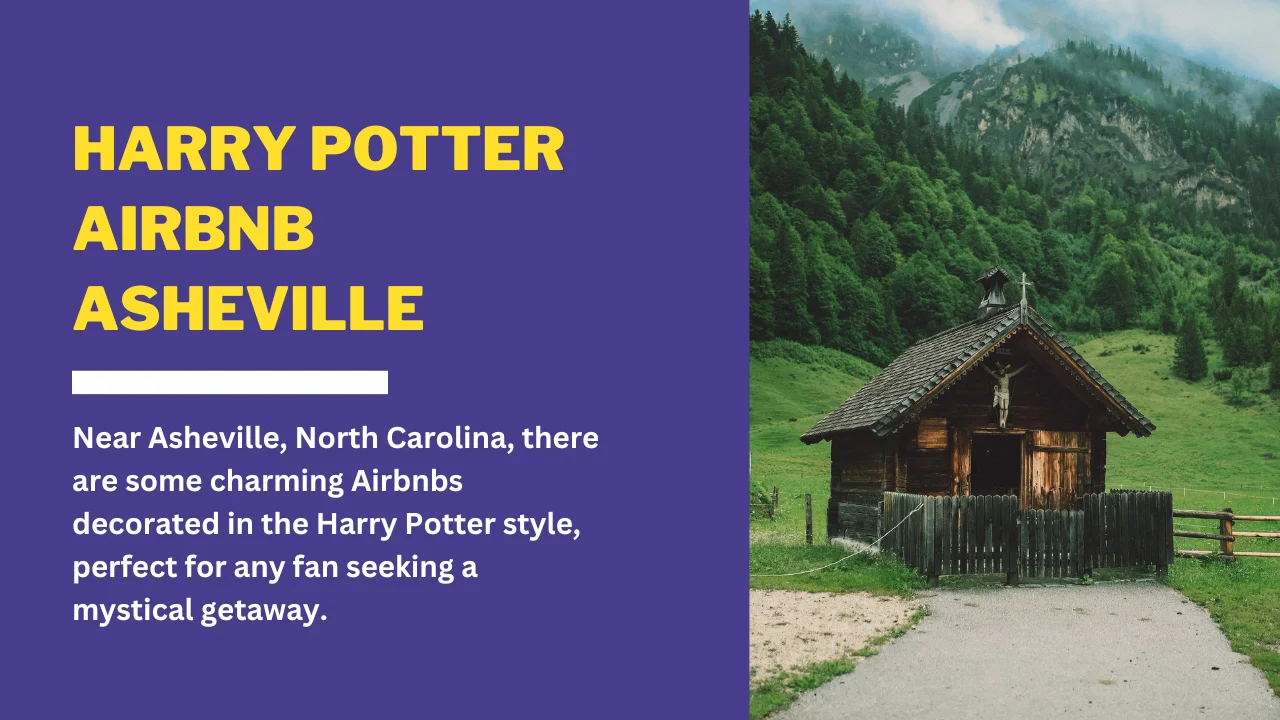 Harry Potter Airbnb Asheville