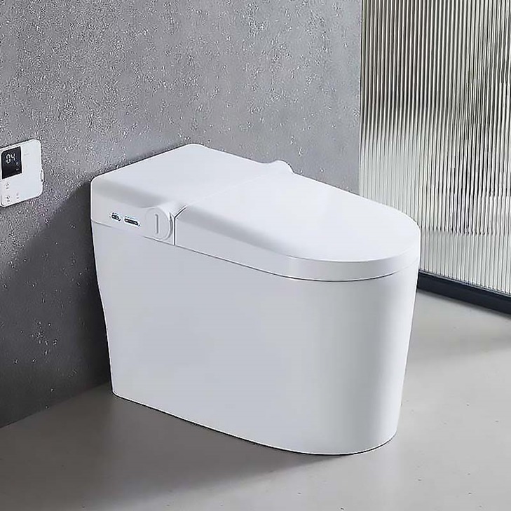 Tankless Floor-Mounted Toilets